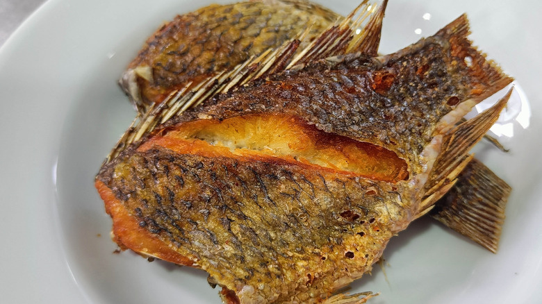 Cooked fish with crispy skin on a white plate