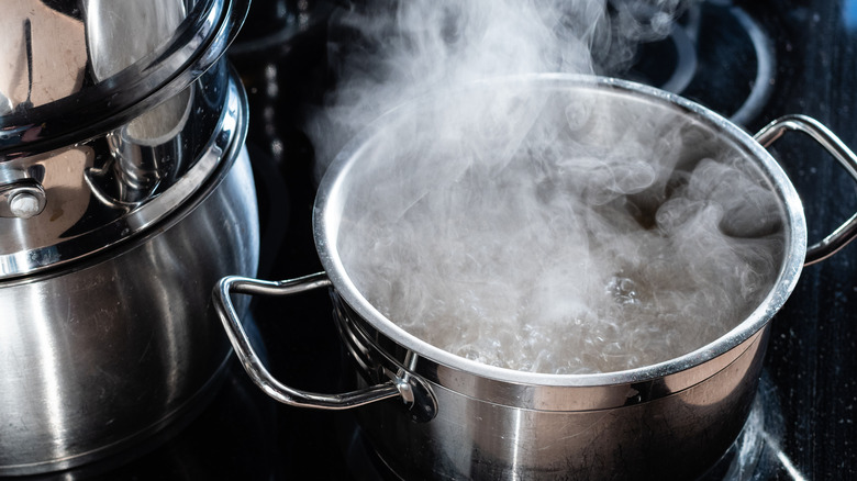 A pot of water boiling on a stovetop