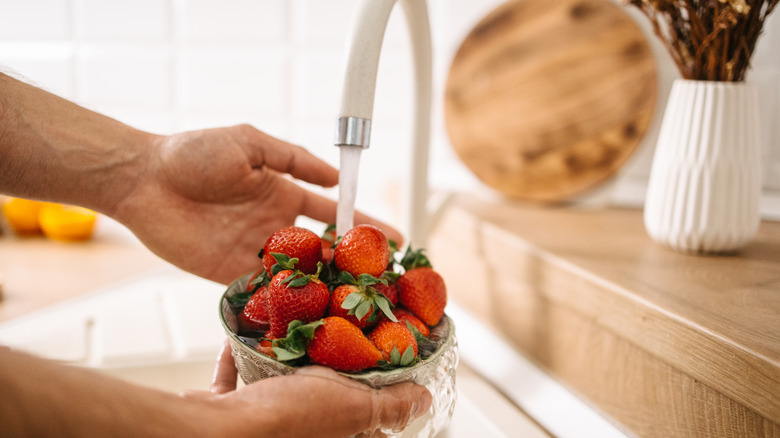 A person washing a bowl of strawberries under running water