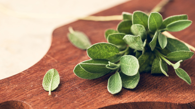 Fresh sage on a wooden board