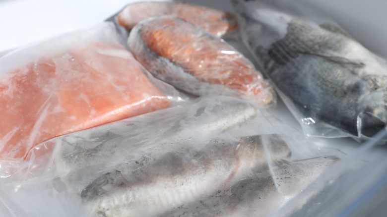 Different types of fish in a freezer bagged in a separate clear packaging