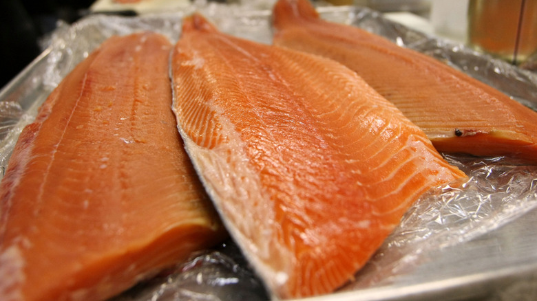 Wild salmon filets on ice.