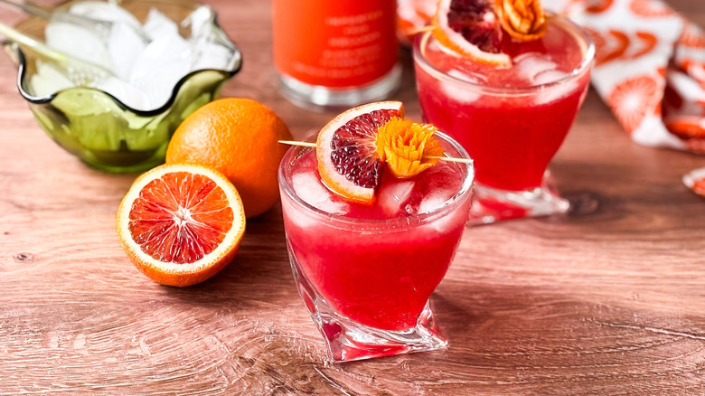Fruity and fun blood orange cocktails in rocks glasses with citrus garnish and ice