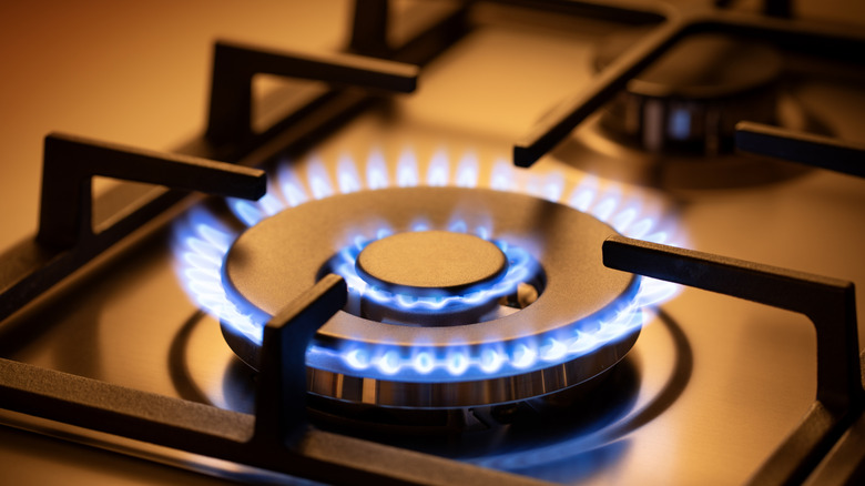 Range burner of a natural gas home stove surrounded by a blue flame