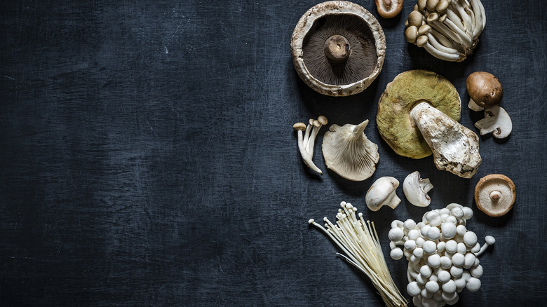 Different varieties of mushrooms on a blue surface.