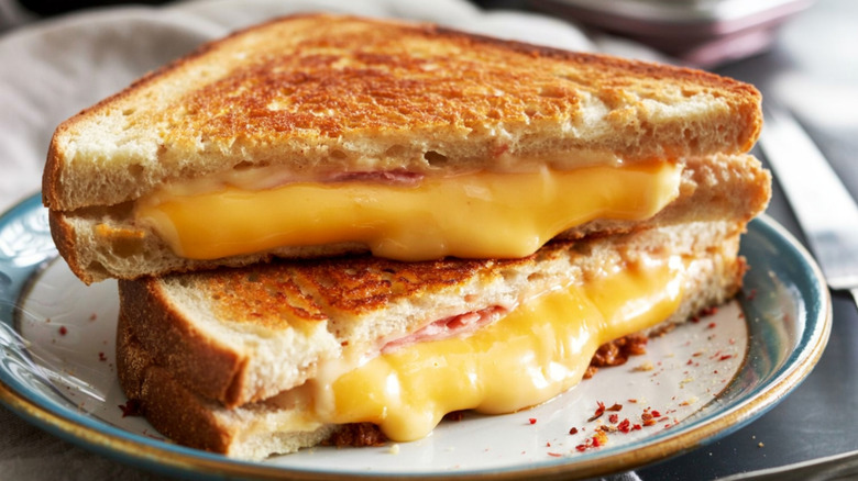 grilled cheese sandwich in a plate