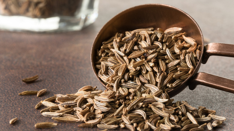 Caraway seeds styled to spill from a spoon.