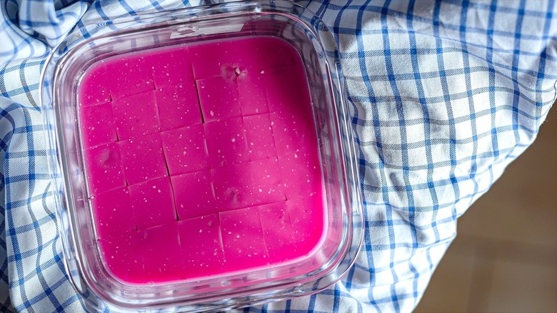 Creamy cubes of pink gelatin in a glass pan on top of a blue and white dish towel