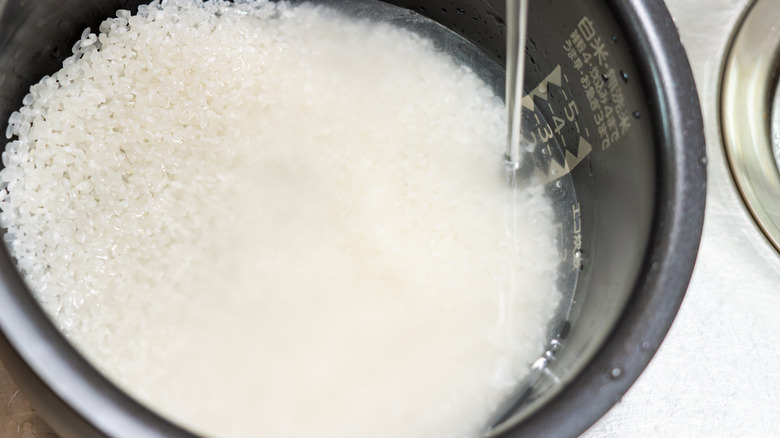 Rinsing sushi rice in the sink.