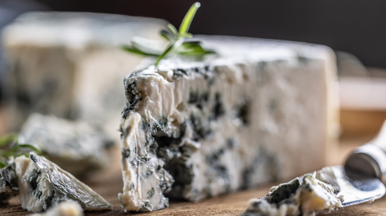 Close up of a block of blue cheese