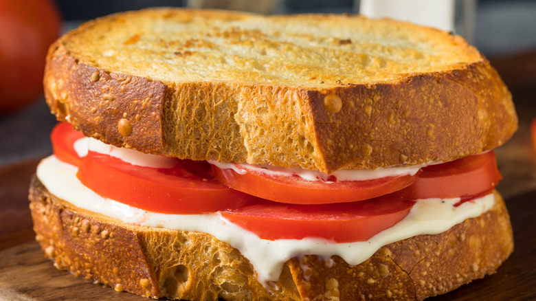 A tomato sandwich in close-up.