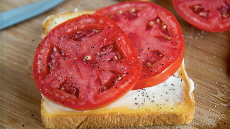 Open-faced tomato sandwich