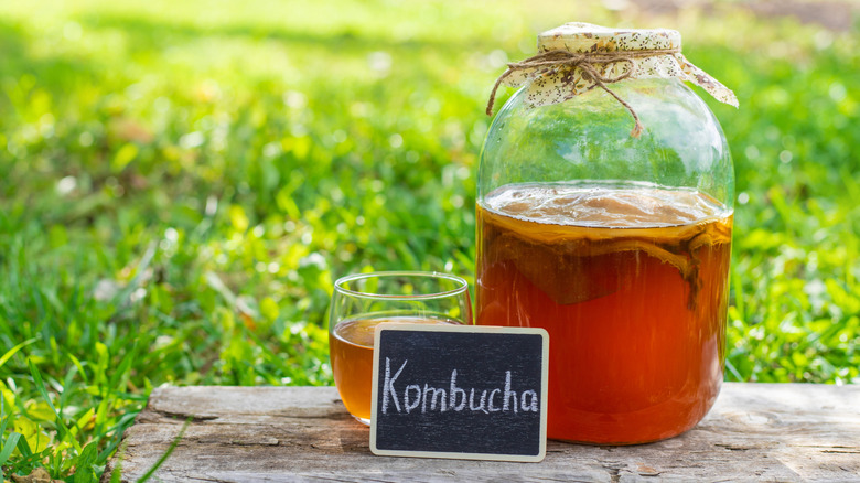 fermented kombucha in a glass jar outdoors