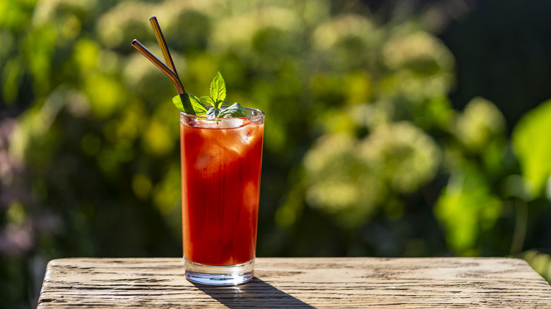 bloody mary cocktail with ice cubes in the sunlight