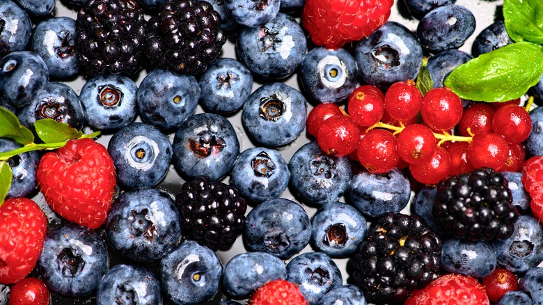Closeup of assorted berries