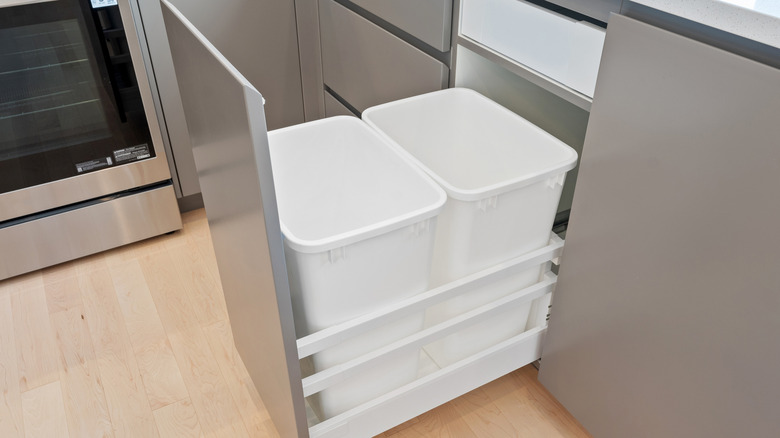 Pull-out trash and recycling cans