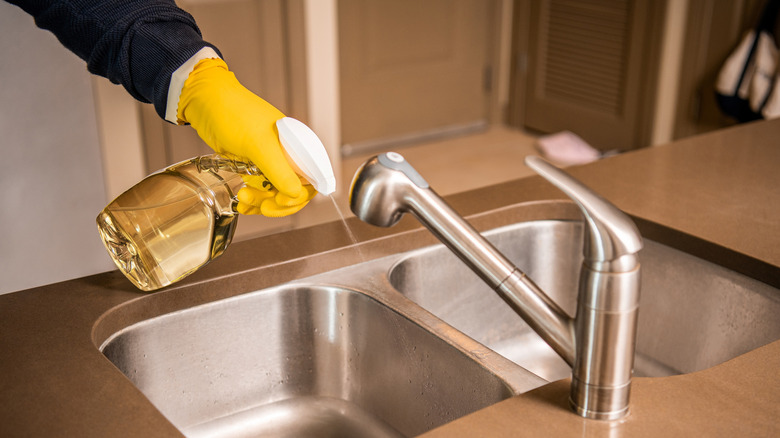 Cleaning sink