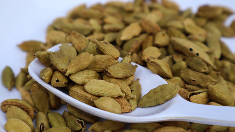 a spoonful of cardamom pods
