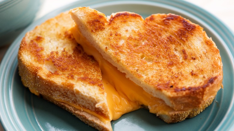 A grilled cheese sandwich seen from close-up on a plate.