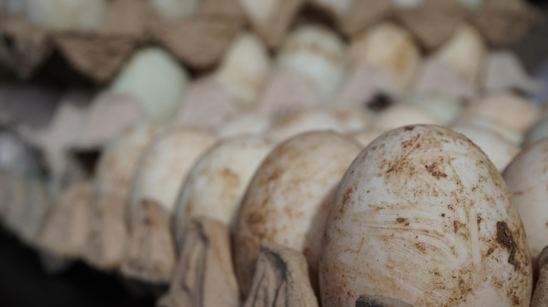 A number of eggs with dirt on their shells in a carton.