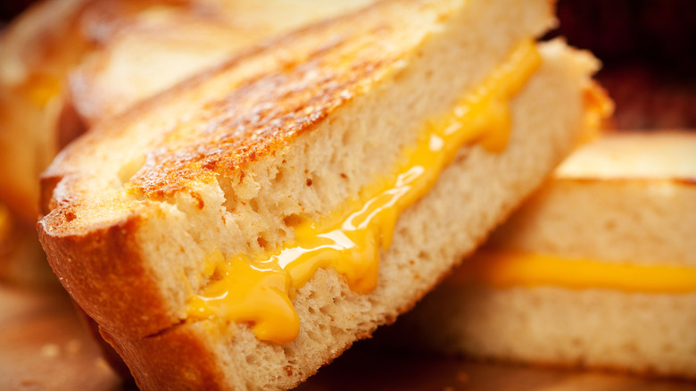 Plain grilled cheese sandwich.