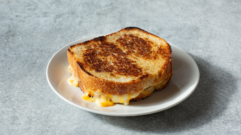 Grilled cheese sandwich on a white plate on a gray table