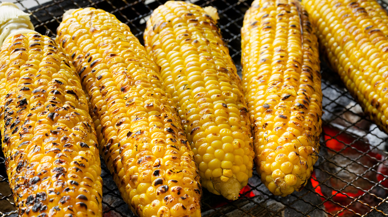 corn cobs on a grill