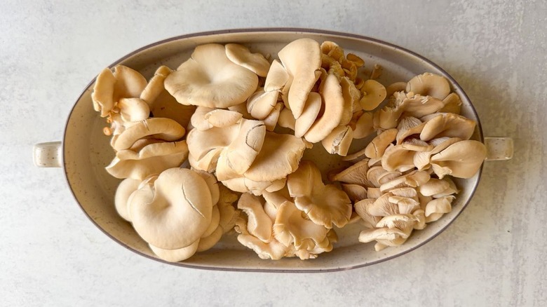 Oyster mushroom clusters in oval-shaped baking dish