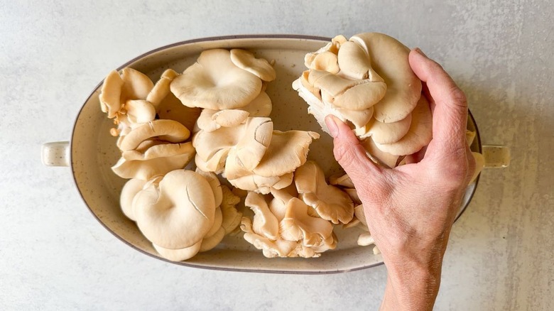 Oyster mushroom clusters in oval baking dish