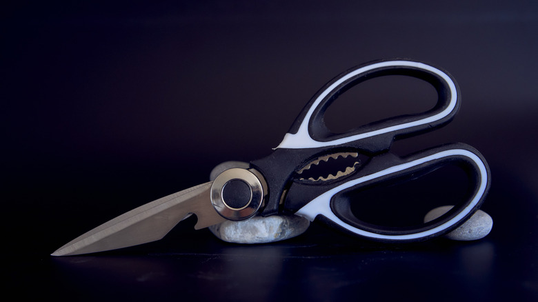 sharp kitchen shears on black background