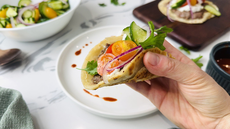 Holding gyro-style Greek taco