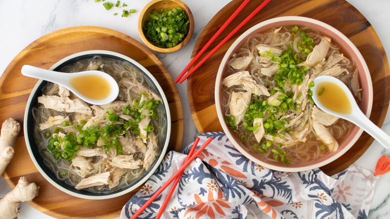 chicken and noodle soup with green onions