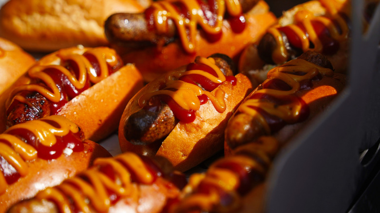 Several hot dogs in buns with ketchup and mustard.