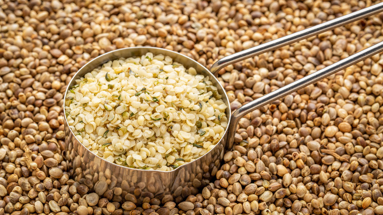 Hemp hearts with a scoop