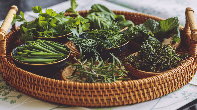 Various herbs on a tray