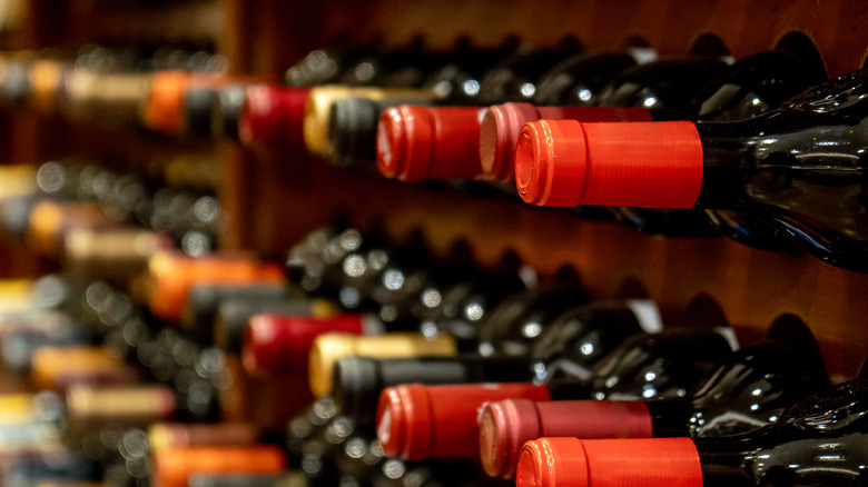 Wine cellar