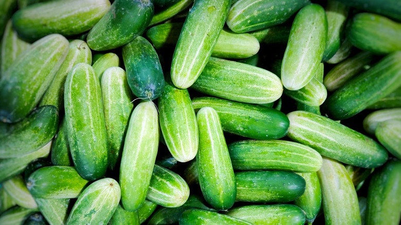 A pile of green cucumbers