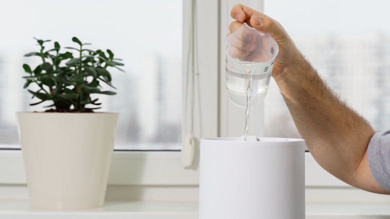 Pouring distilled water into a humidifier