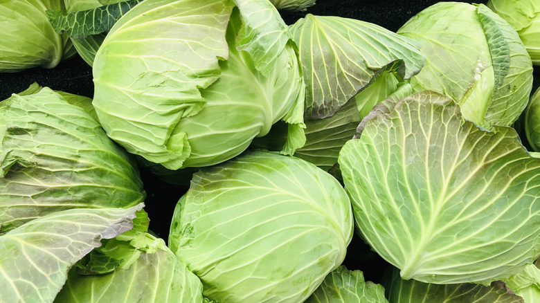 Several heads of green cabbage