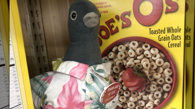 Petra the pigeon at Trader Joe's next to a box of cereal