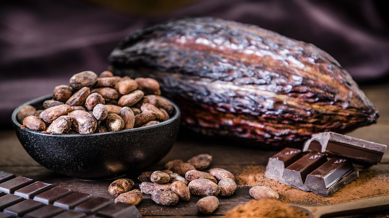 raw cacao beans