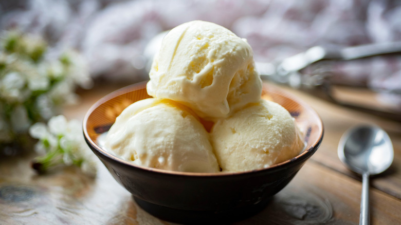 Bowl of homemade ice cream