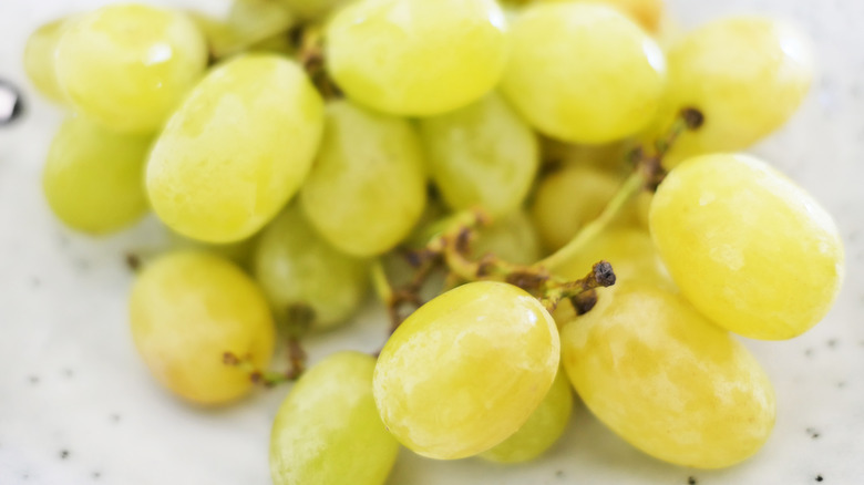 Close-up of cotton candy grapes on a plate