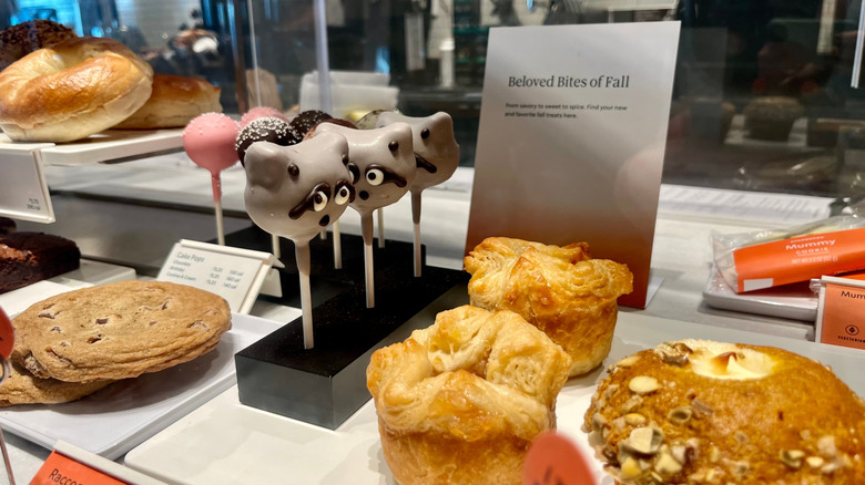 Starbucks cake pops in a cafe display case.