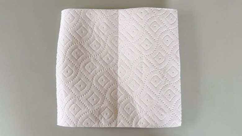 Paper towels on plate