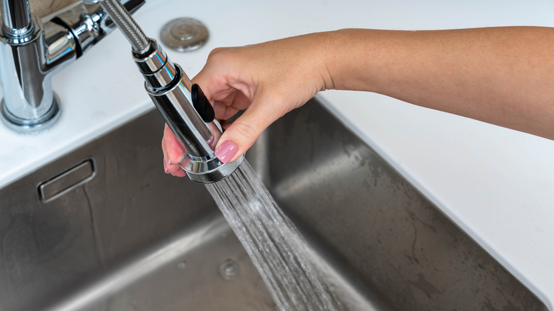 A person holding an adjustable faucet sprayer in a sink.