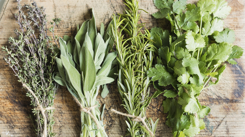 Bundles of fresh herbs on a wooden board