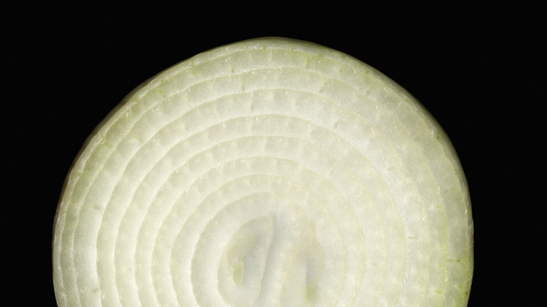 sliced onion round on a black background