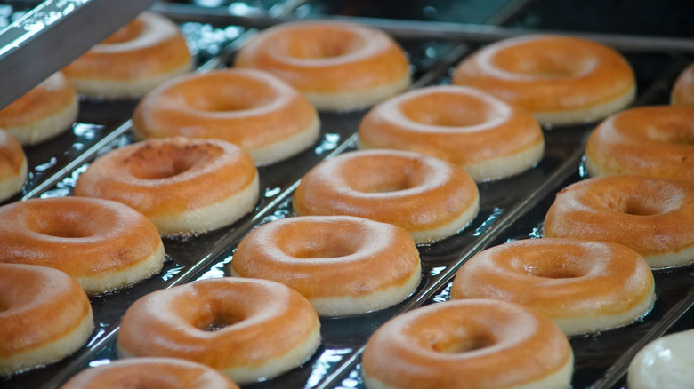 Well over a dozen Krispy Kreme original glazed doughnuts are featured on a conveyor belt, undergoing the deep-frying and glazing process at a location in Raleigh, North Carolina.