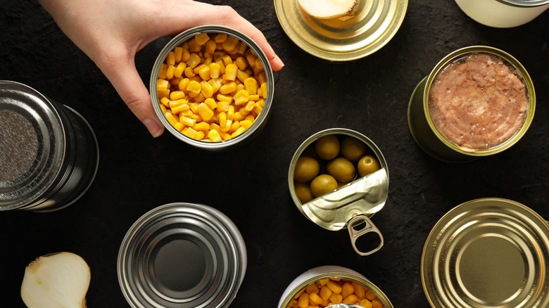 Cans with food sit on a dark background.